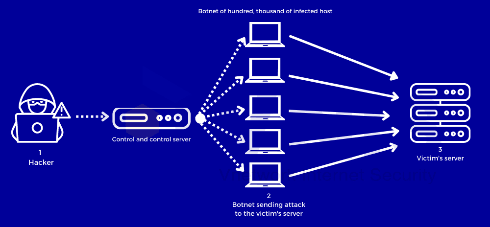 Sơ đồ tấn công DDoS máy chủ Web (DDoS diagram attack Web Server)