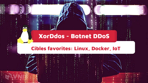 Botnet XorDdos: Mối đe dọa DDoS và chiến thuật phòng chống
